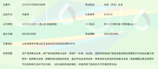 泰安市泰山乾通典当行动产质押典当业务全解析