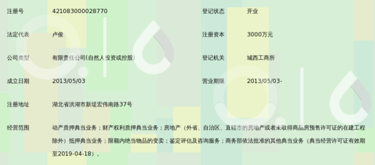 洪湖金汇丰典当